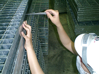 Manufacturing Process,Inspection on the level of warping